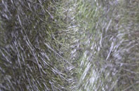 Hop Pole fibreglass roof work